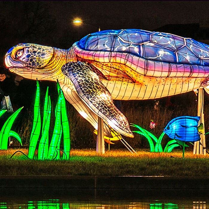 Lantern Festival Lantern Festival